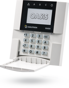 91822BBF EDF4-4A47-8292-6691C1ACCF03_1_105_c.jpeg